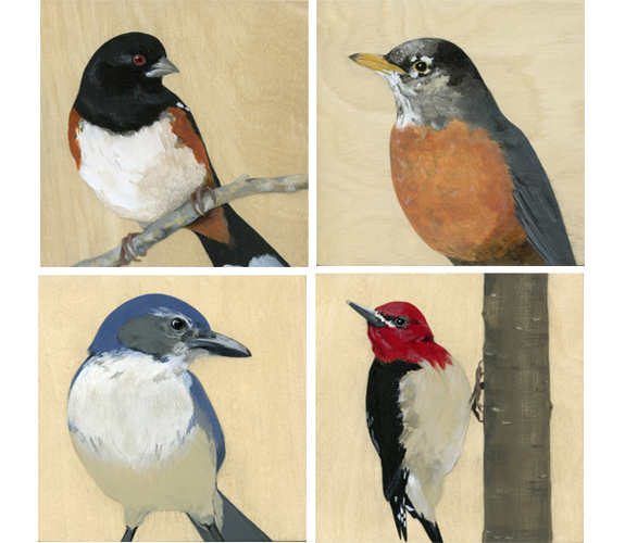 6x6 Bird Paintings by Kristen Etmund